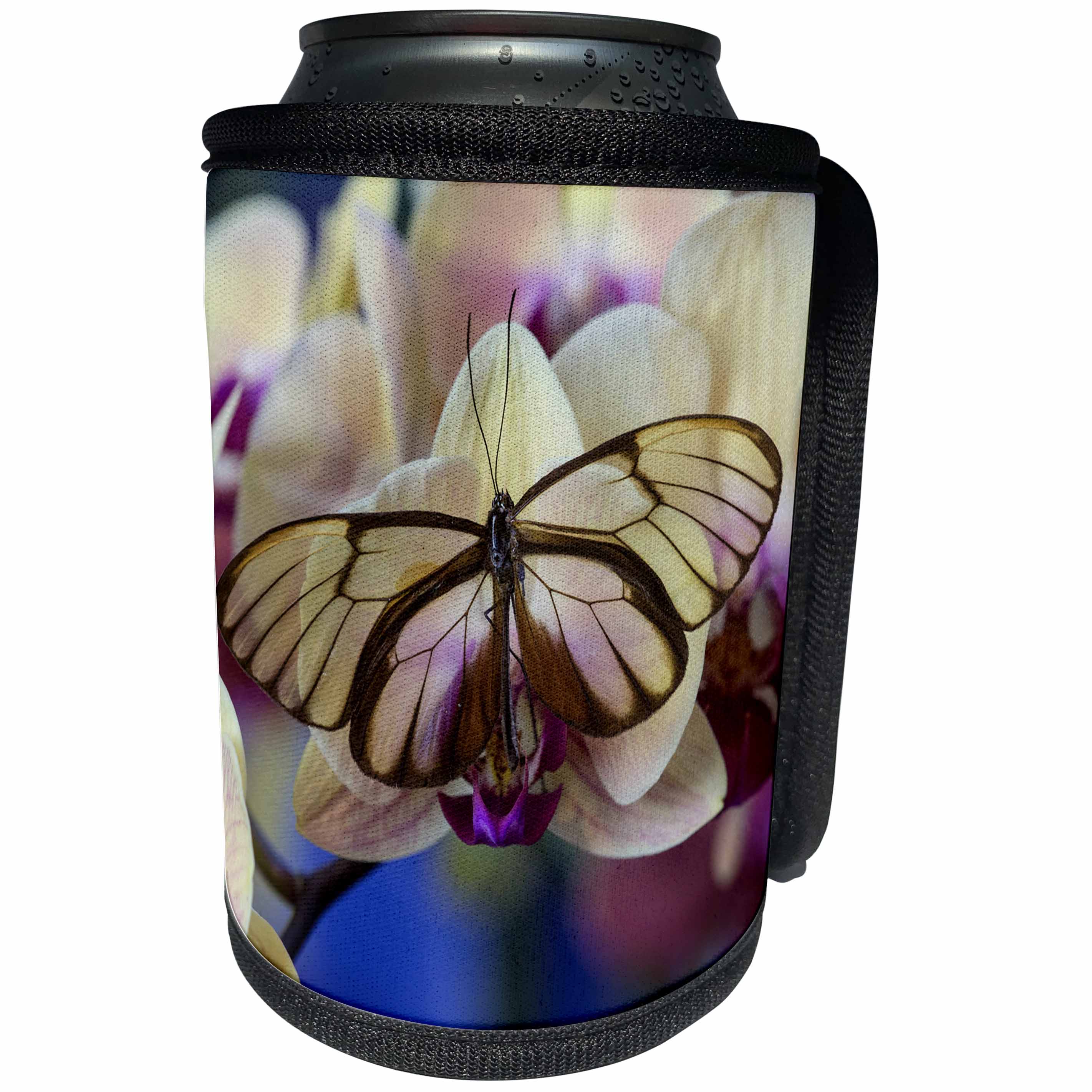 3dRose Danita Delimont - Butterflies - Glasswing Butterfly and Orchid - Can Cooler Bottle Wrap (cc_228383)