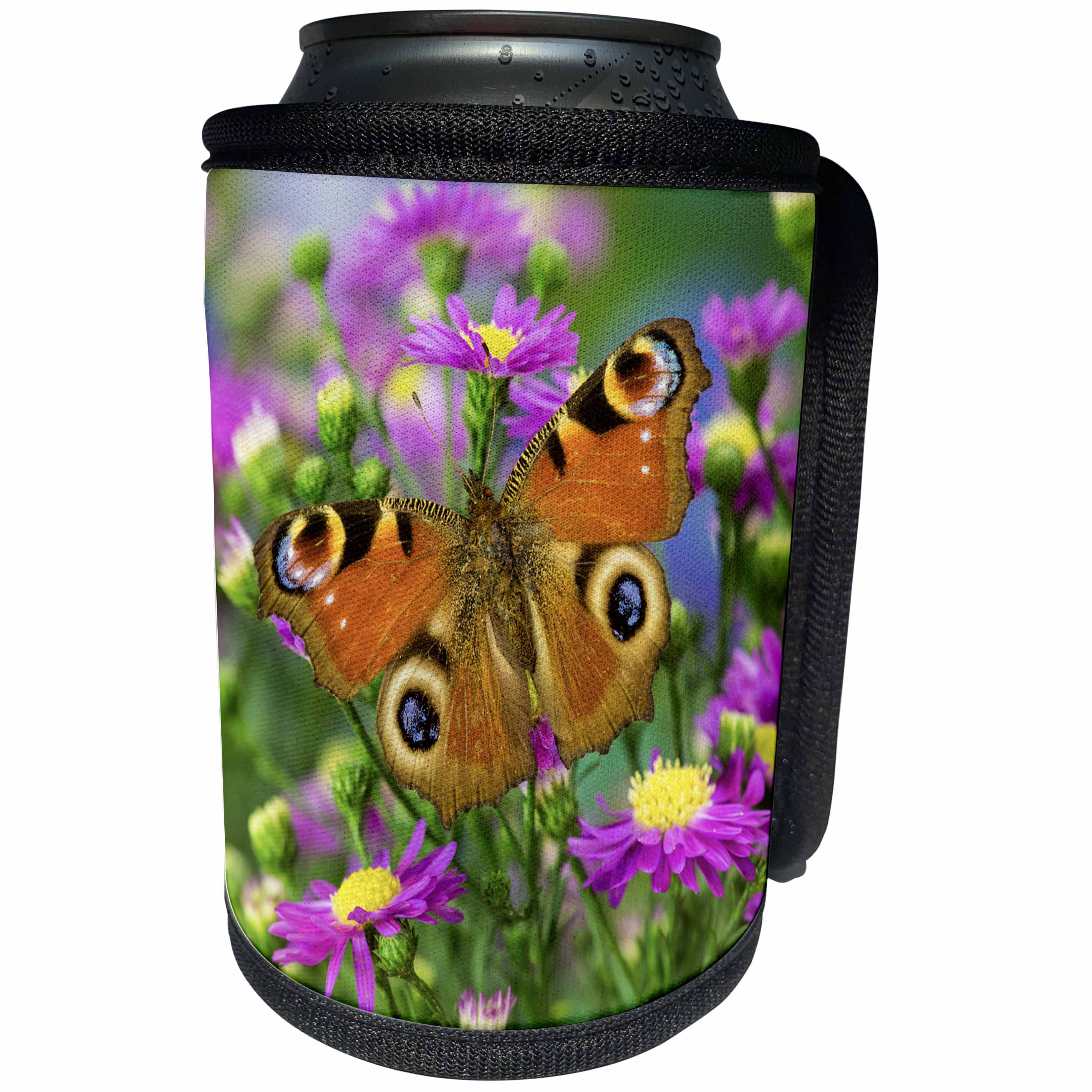 3dRose Danita Delimont - Butterflies - European Peacock Butterfly - Can Cooler Bottle Wrap (cc_228385)
