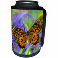 3dRose Danita Delimont - Butterflies - The Giant African Swallowtail Butterfly, Papilio antimachus - Can Cooler Bottle Wrap (cc_228391)