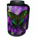 3dRose Danita Delimont - Butterflies - The Common Peacock Swallowtail Butterfly - Can Cooler Bottle Wrap (cc_228394)