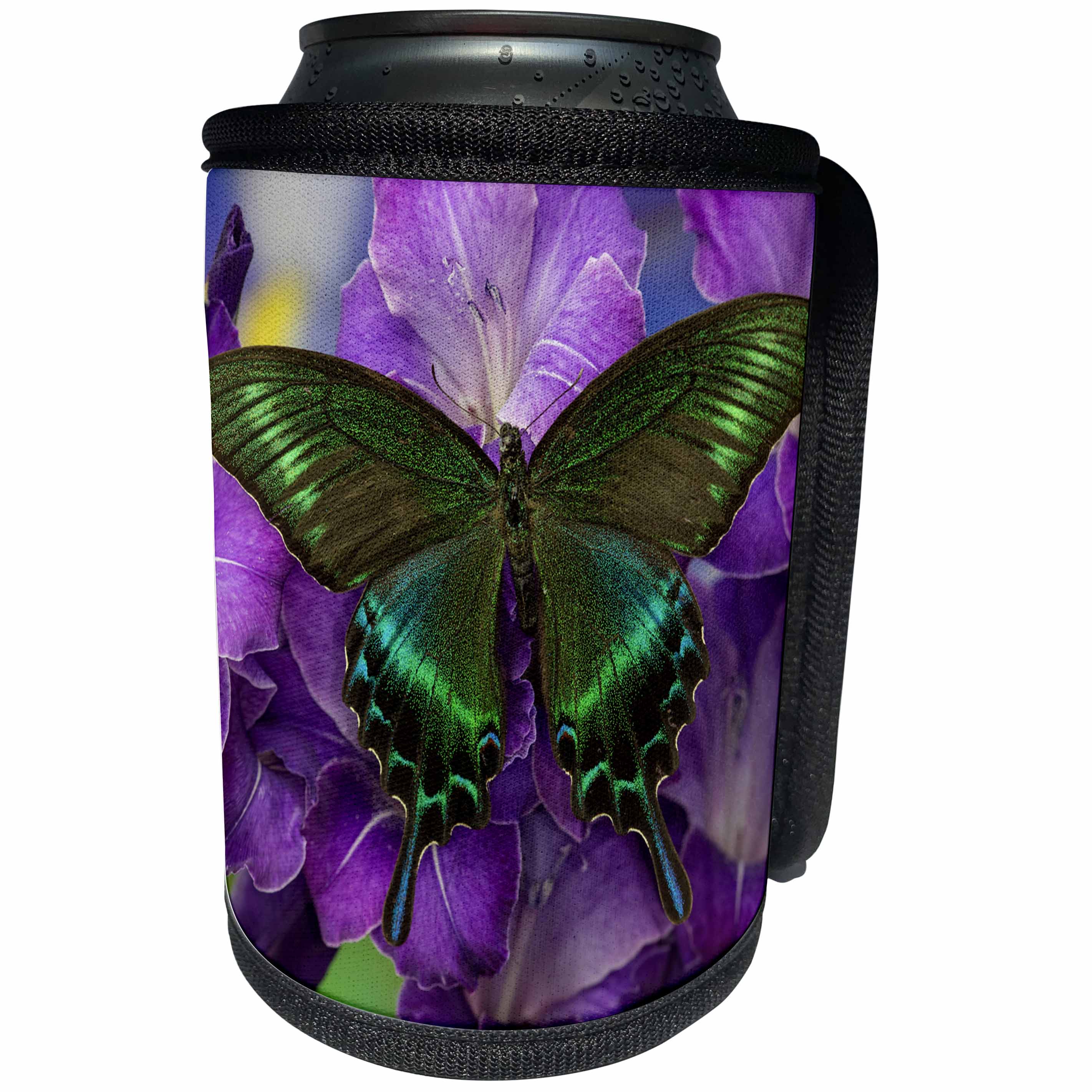 3dRose Danita Delimont - Butterflies - The Common Peacock Swallowtail Butterfly - Can Cooler Bottle Wrap (cc_228394)
