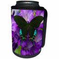 3dRose Danita Delimont - Butterflies - Luzon Peacock Swallowtail Butterfly from Philippines, Papilio hermeli - Can Cooler Bottle Wrap (cc_228397)