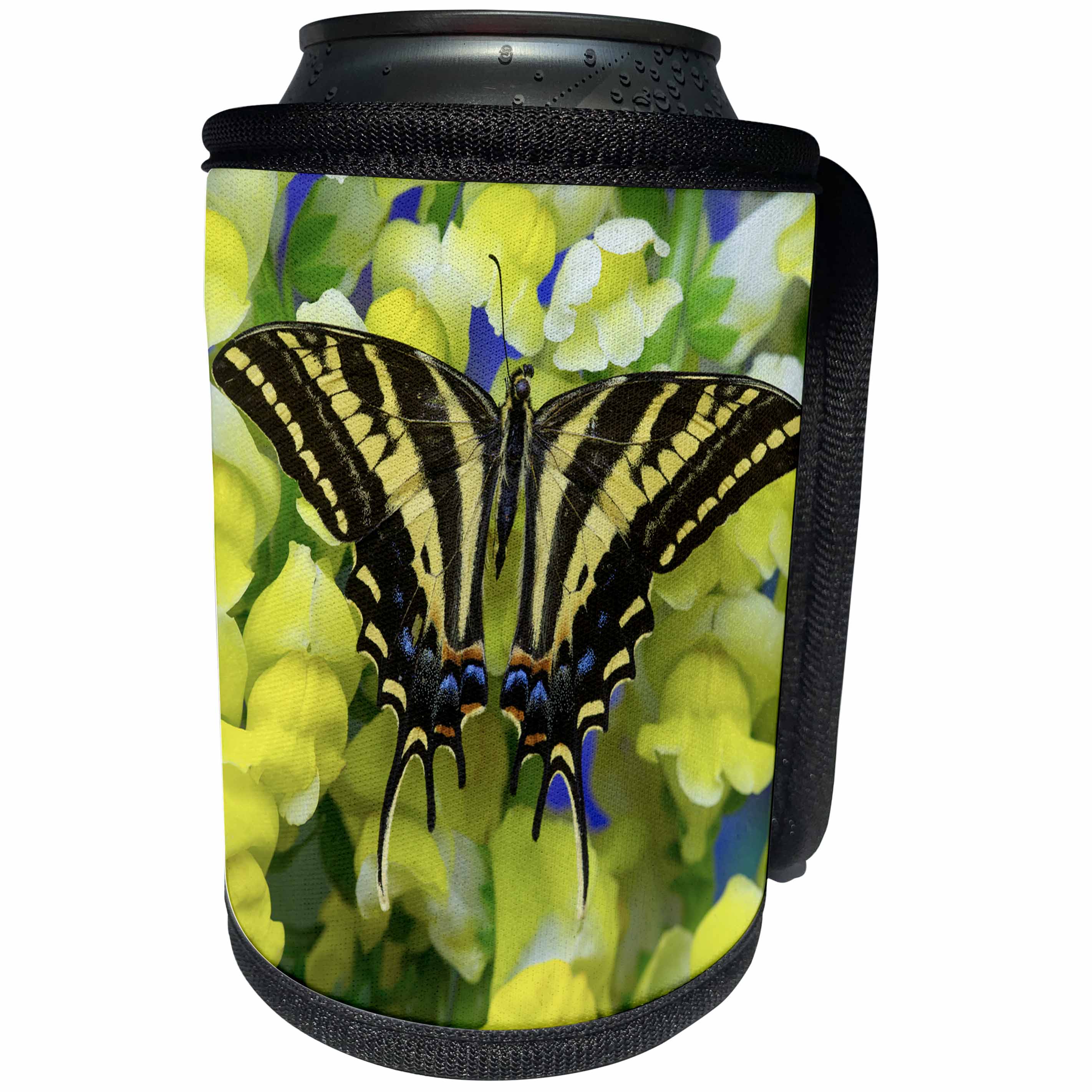 3dRose Danita Delimont - Butterflies - Three tailed Tiger Swallowtail Butterfly, Papilio pilumnus - Can Cooler Bottle Wrap (cc_228403)