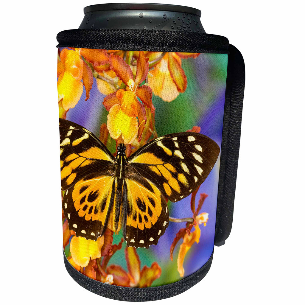 3dRose Danita Delimont - Butterflies - Papilio zagreus butterfly from Central and South America - Can Cooler Bottle Wrap (cc_228407)