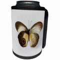 3dRose Danita Delimont - Butterflies - The Silky Owl Butterfly wing comparison top and bottom wings - Can Cooler Bottle Wrap (cc_228411)