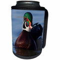 3dRose Danita Delimont - Ducks - Wood Duck, Drake - Can Cooler Bottle Wrap (cc_228415)