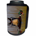 3dRose Danita Delimont - Ducks - Wood Duck Drake - Can Cooler Bottle Wrap (cc_228417)