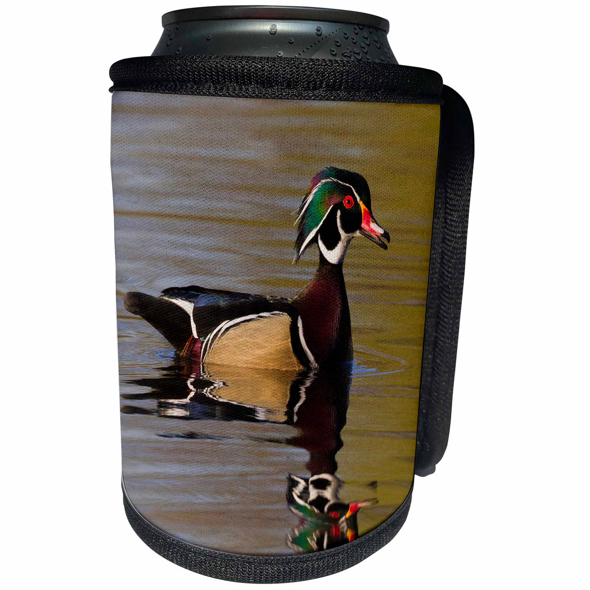 3dRose Danita Delimont - Ducks - Wood Duck Drake - Can Cooler Bottle Wrap (cc_228417)