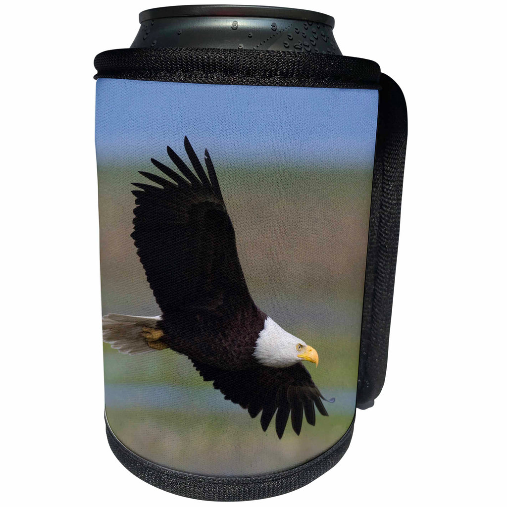 3dRose Danita Delimont - Birds of Prey - Bald Eagle, wings spread - Can Cooler Bottle Wrap (cc_228418)