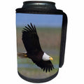 3dRose Danita Delimont - Birds of Prey - Bald Eagle, wings spread - Can Cooler Bottle Wrap (cc_228418)