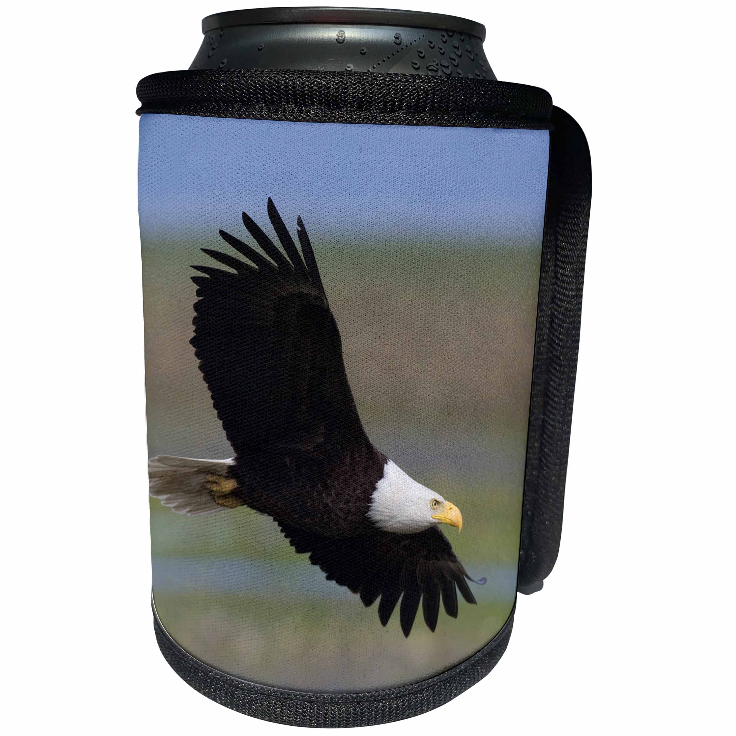 3dRose Danita Delimont - Birds of Prey - Bald Eagle, wings spread - Can Cooler Bottle Wrap (cc_228418)
