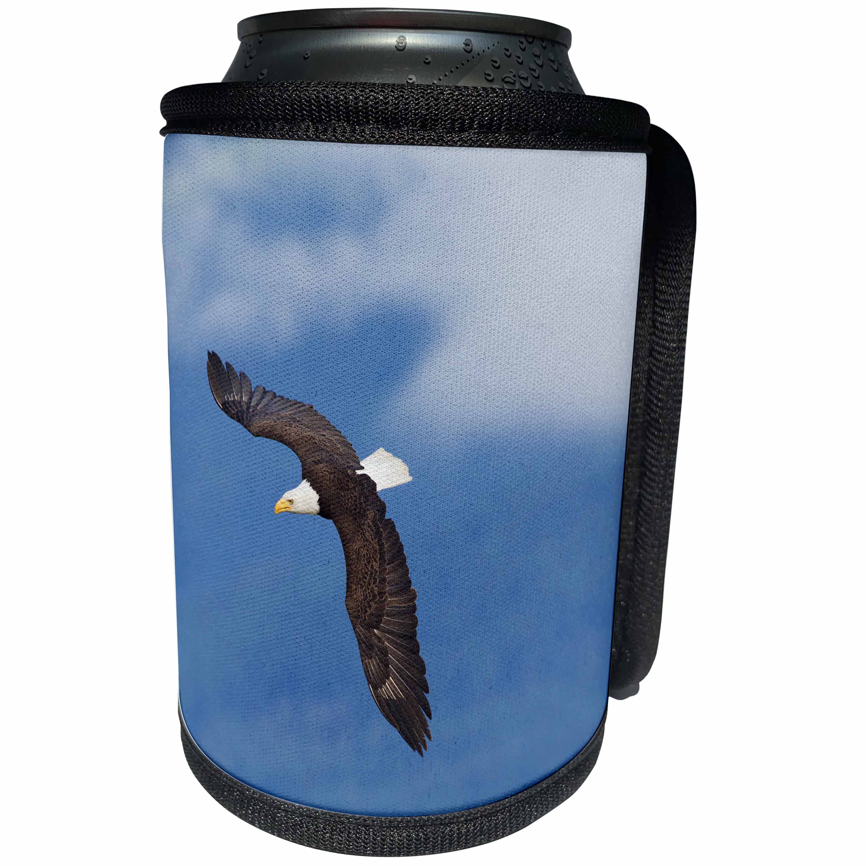 3dRose Danita Delimont - Birds of Prey - Bald Eagle Flying - Can Cooler Bottle Wrap (cc_228420)