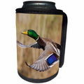 3dRose Danita Delimont - Ducks - Mallard Drake in flight - Can Cooler Bottle Wrap (cc_228423)