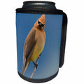 3dRose Danita Delimont - Birds - Cedar Waxwing, a curious stare - Can Cooler Bottle Wrap (cc_228427)