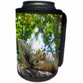 3dRose Danita Delimont - Iguana - Mexico, Puerto Vallarta. Iguana. Tree lizards. - Can Cooler Bottle Wrap (cc_229220)