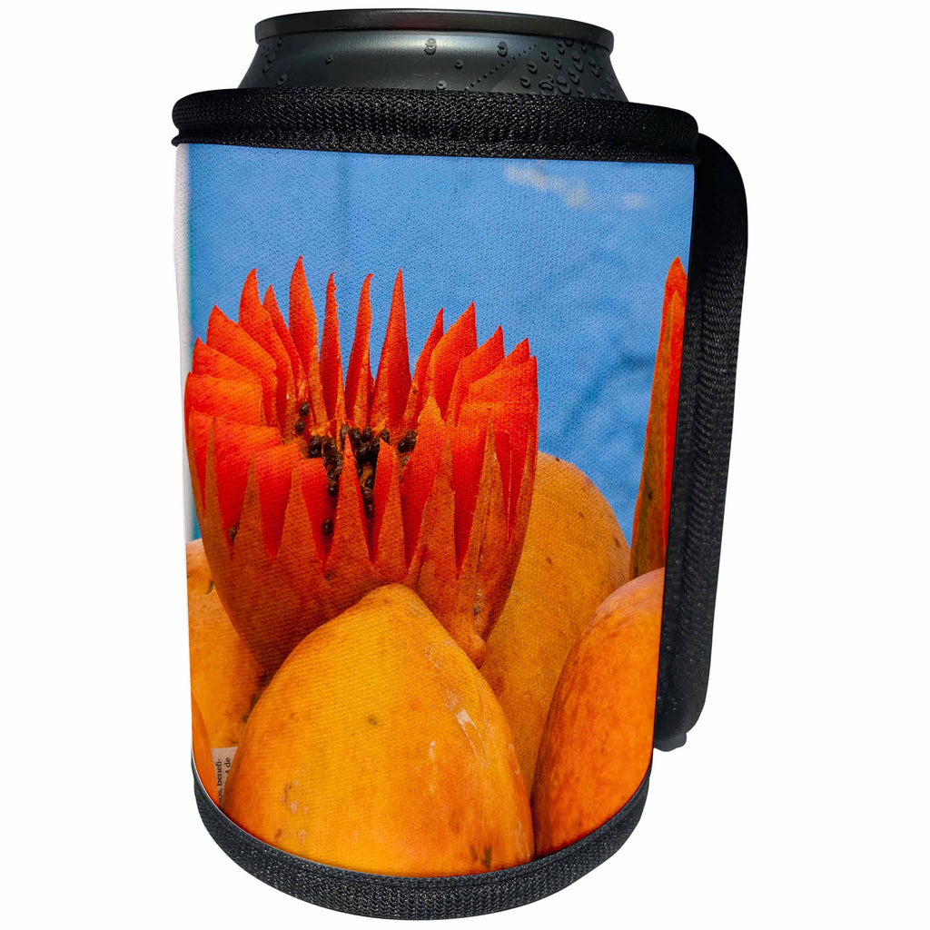 3dRose Danita Delimont - Markets - Mexico, Oaxaca Province, Oaxaca, papaya on display in market - Can Cooler Bottle Wrap (cc_229223)
