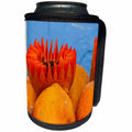 3dRose Danita Delimont - Markets - Mexico, Oaxaca Province, Oaxaca, papaya on display in market - Can Cooler Bottle Wrap (cc_229223)