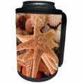 3dRose Danita Delimont - Marine Life - Seashells for sale Zihuatanejo, Mexico. - Can Cooler Bottle Wrap (cc_229224)