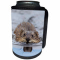 3dRose Danita Delimont - Rodents - Muskrat Swimming - Can Cooler Bottle Wrap (cc_229482)