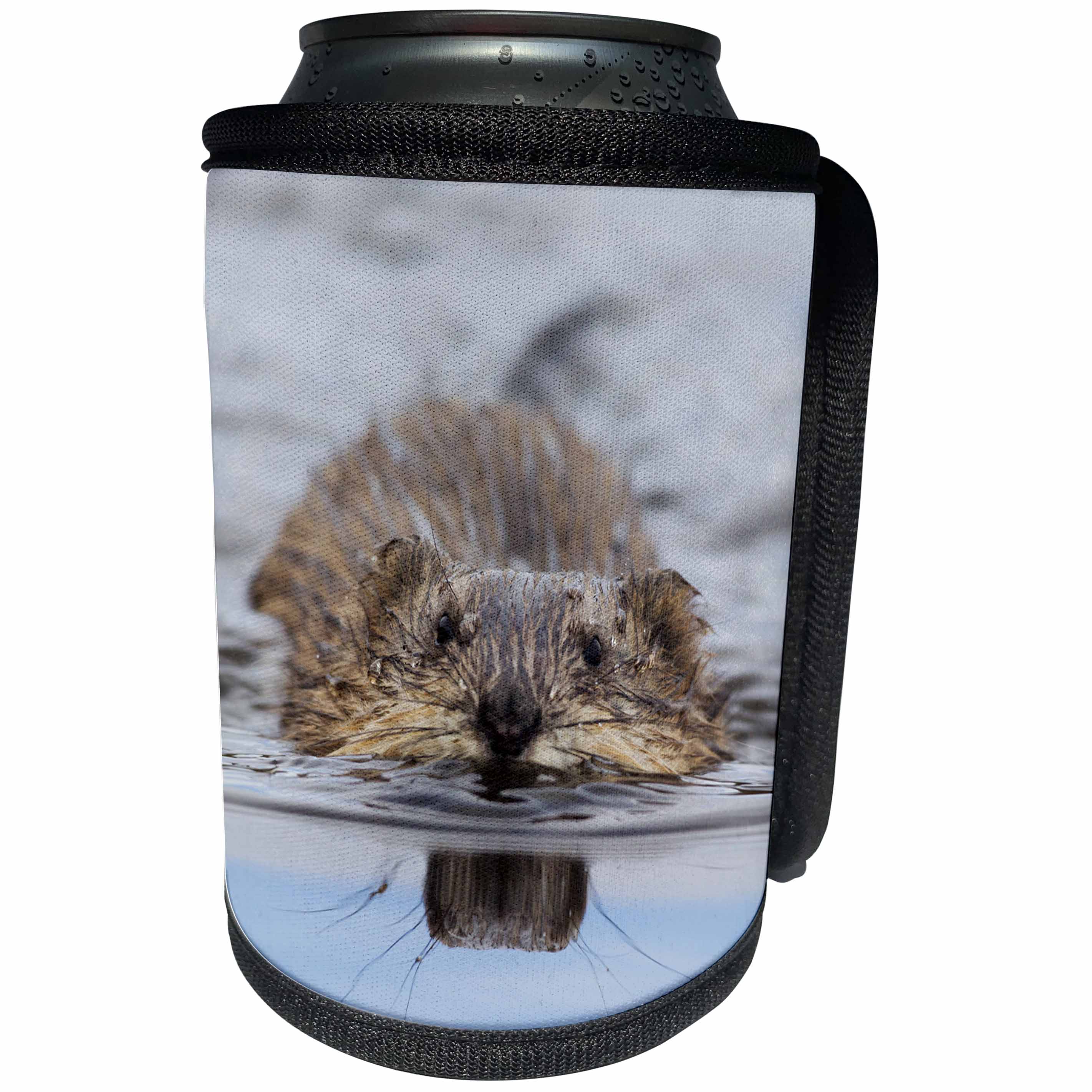 3dRose Danita Delimont - Rodents - Muskrat Swimming - Can Cooler Bottle Wrap (cc_229482)