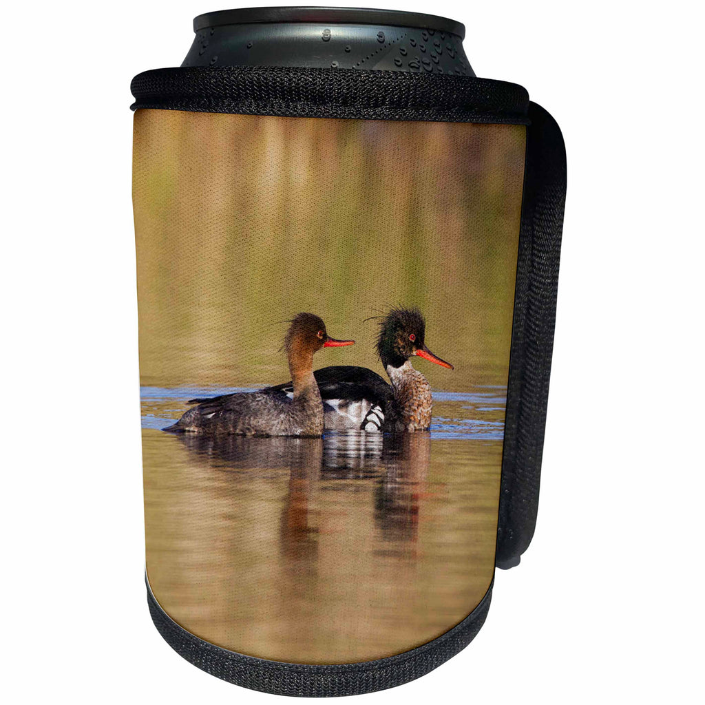 3dRose Danita Delimont - Birds - Red breasted Merganser Pair - Can Cooler Bottle Wrap (cc_229486)