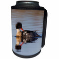 3dRose Danita Delimont - Birds - Red breasted Merganser Preening - Can Cooler Bottle Wrap (cc_229487)