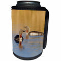 3dRose Danita Delimont - Birds - Red throated Loon Pair - Can Cooler Bottle Wrap (cc_229490)