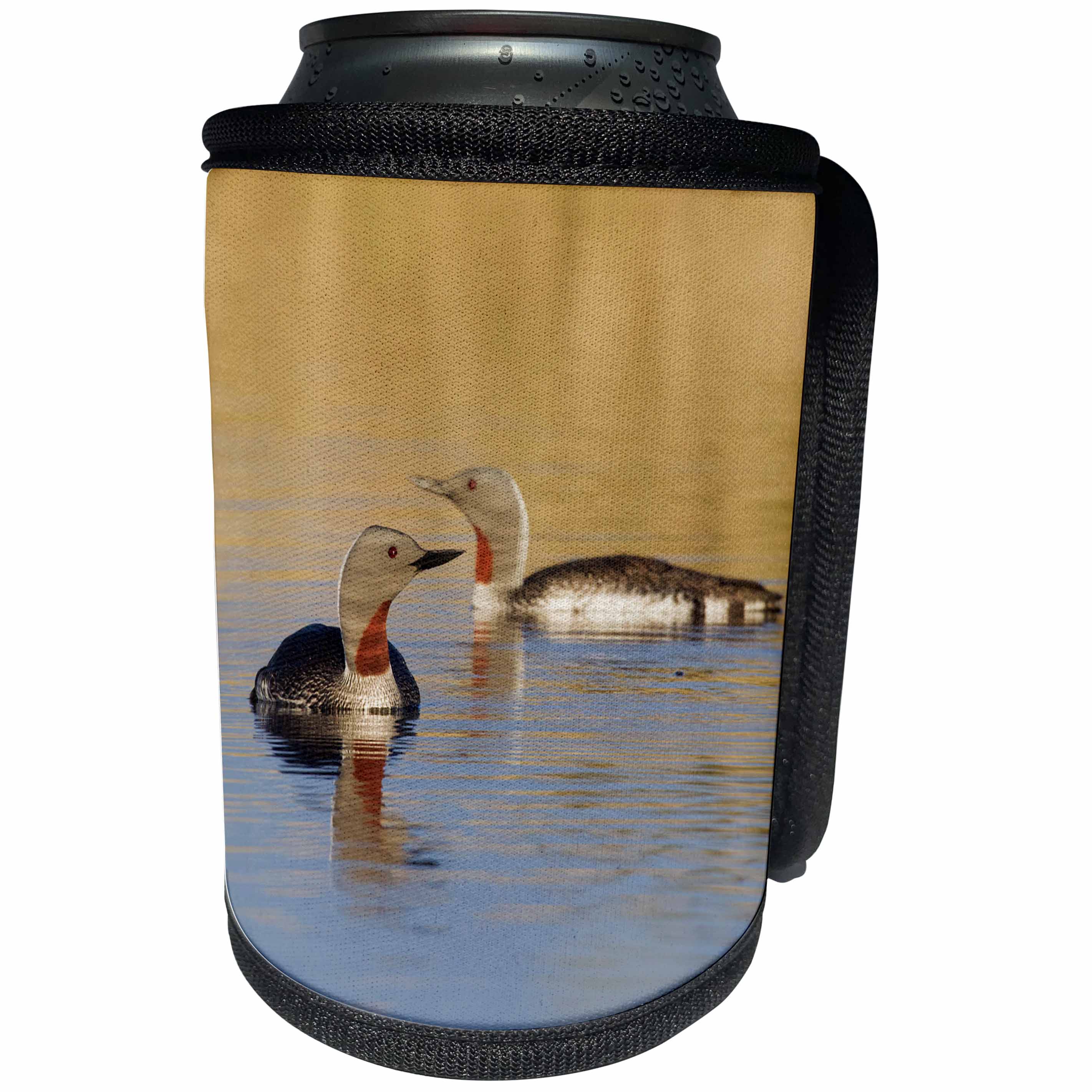 3dRose Danita Delimont - Birds - Red throated Loon Pair - Can Cooler Bottle Wrap (cc_229490)