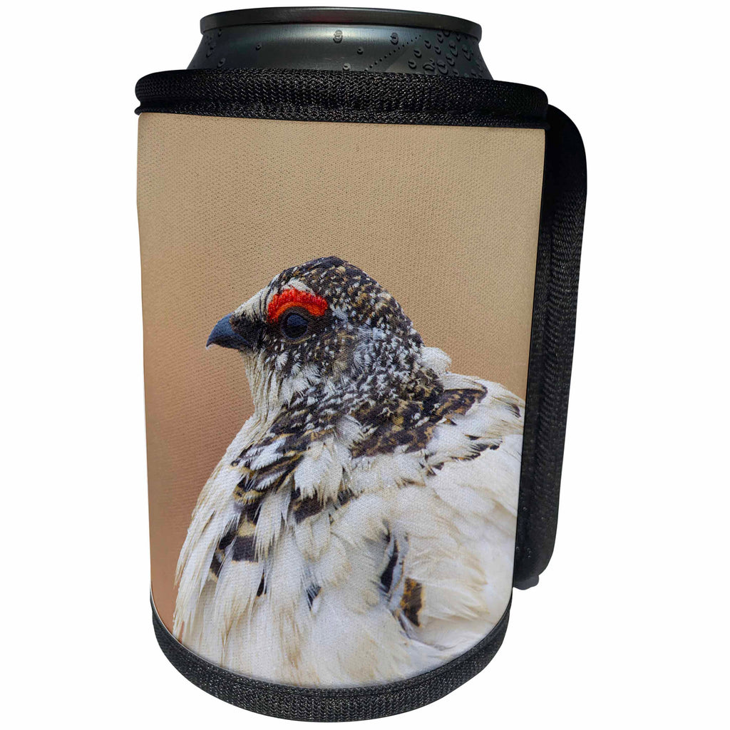 3dRose Danita Delimont - Birds - Rock Ptarmigan - Can Cooler Bottle Wrap (cc_229491)