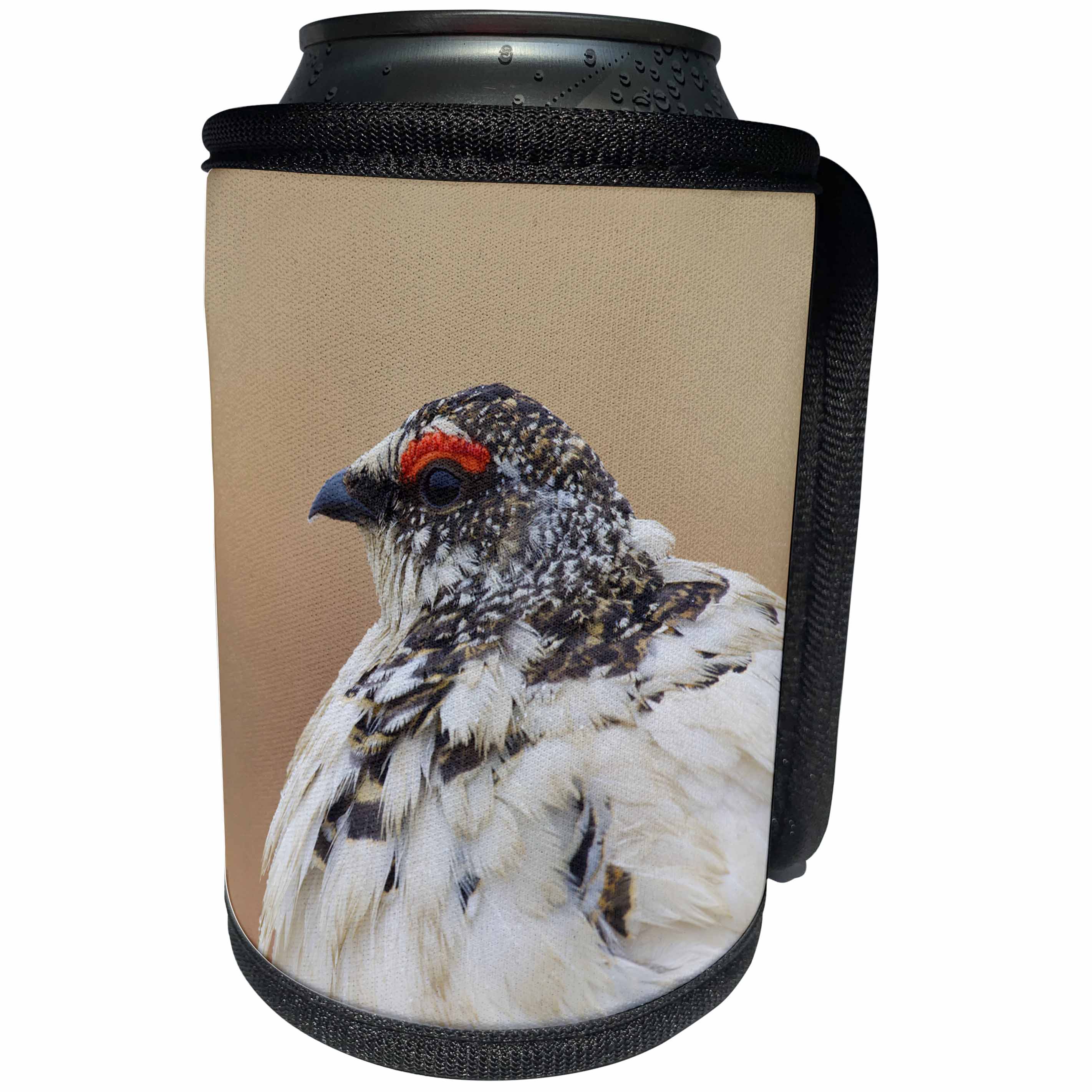 3dRose Danita Delimont - Birds - Rock Ptarmigan - Can Cooler Bottle Wrap (cc_229491)