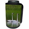 3dRose Danita Delimont - Baby Animals - Trumpeter Swan Family - Can Cooler Bottle Wrap (cc_229493)