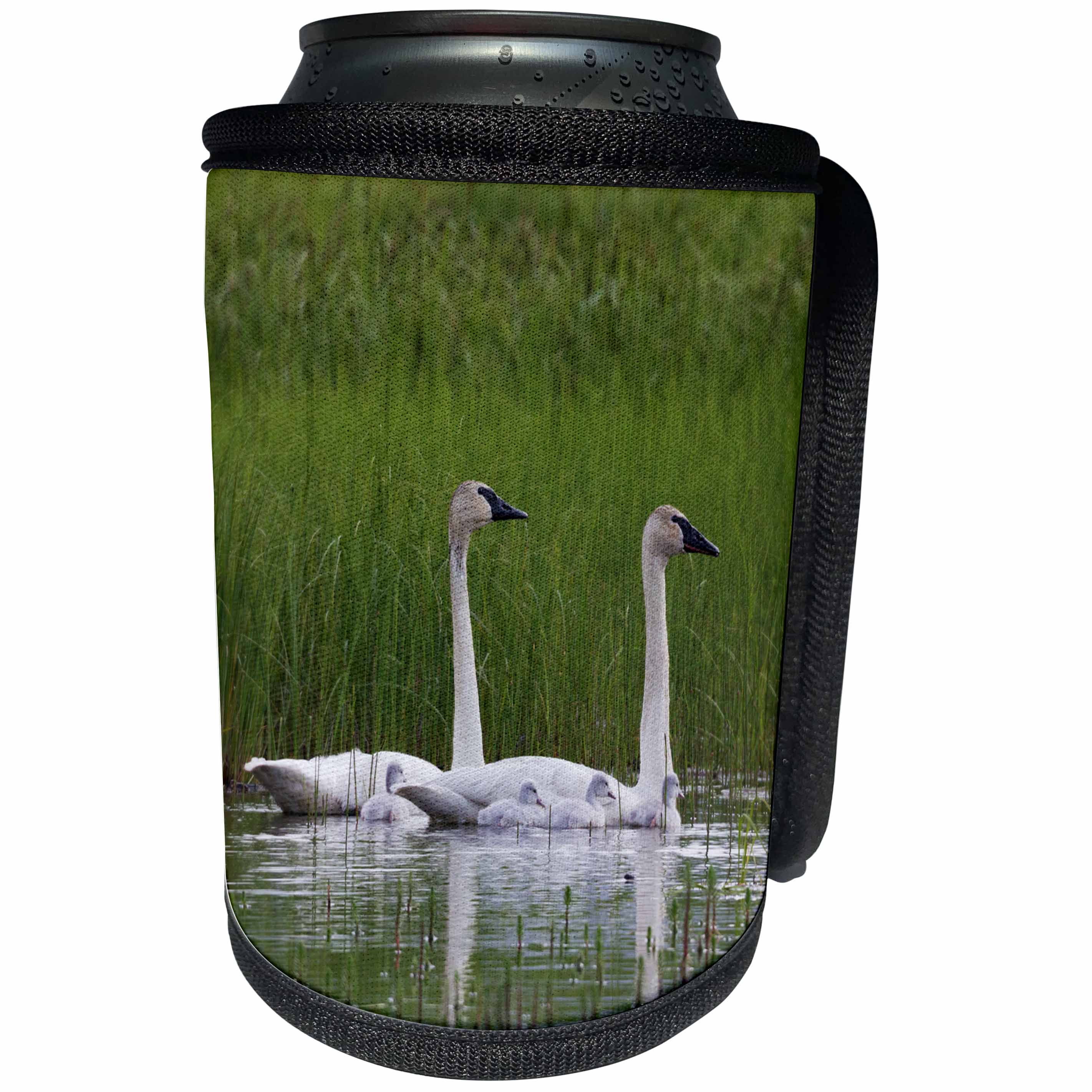 3dRose Danita Delimont - Baby Animals - Trumpeter Swan Family - Can Cooler Bottle Wrap (cc_229493)