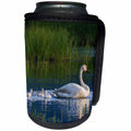 3dRose Danita Delimont - Baby Animals - Trumpeter Swan with Cygnets - Can Cooler Bottle Wrap (cc_229494)