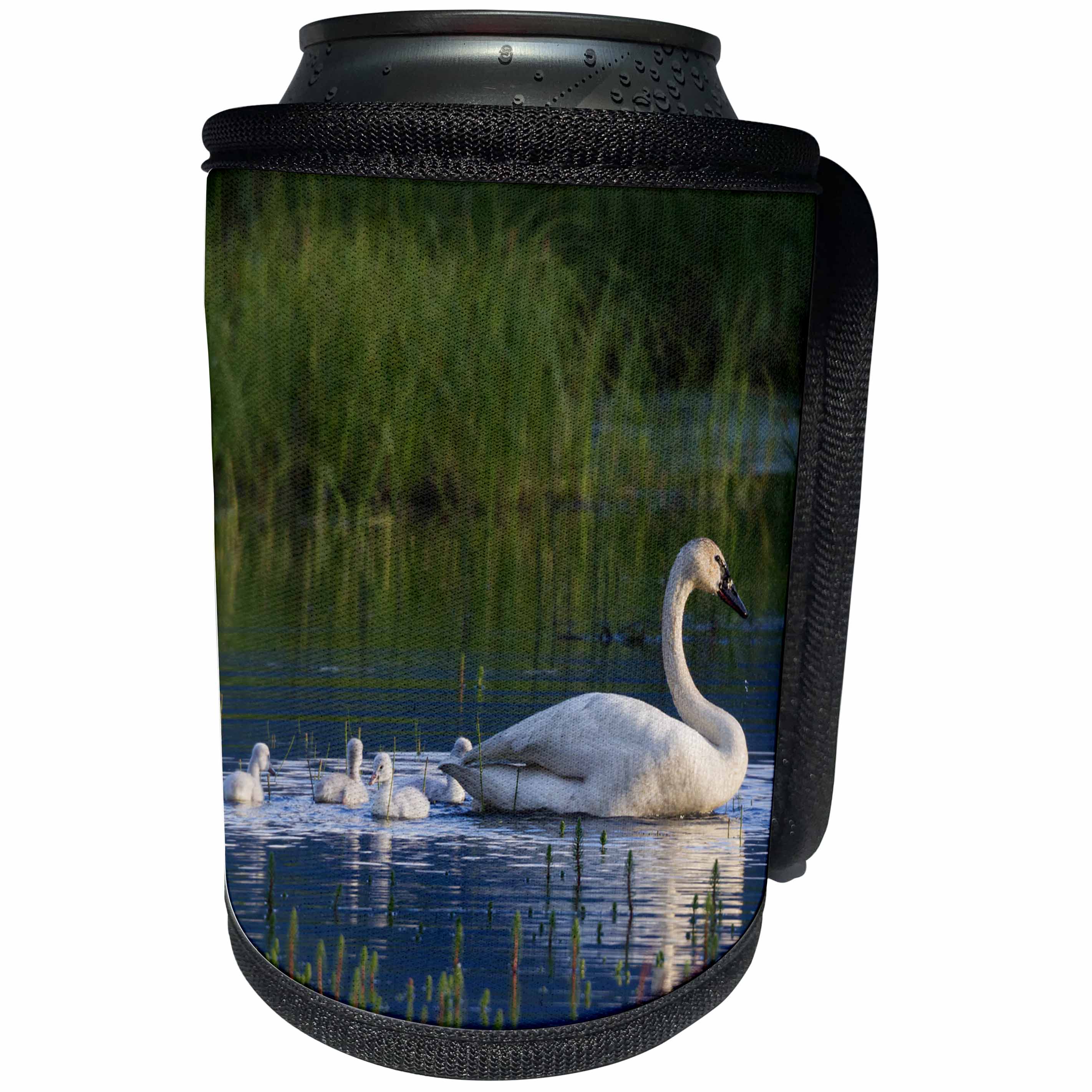 3dRose Danita Delimont - Baby Animals - Trumpeter Swan with Cygnets - Can Cooler Bottle Wrap (cc_229494)