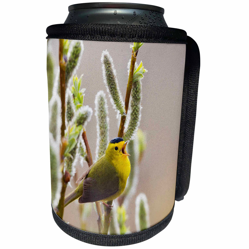 3dRose Danita Delimont - Birds - Wilsons Warbler Singing - Can Cooler Bottle Wrap (cc_229498)