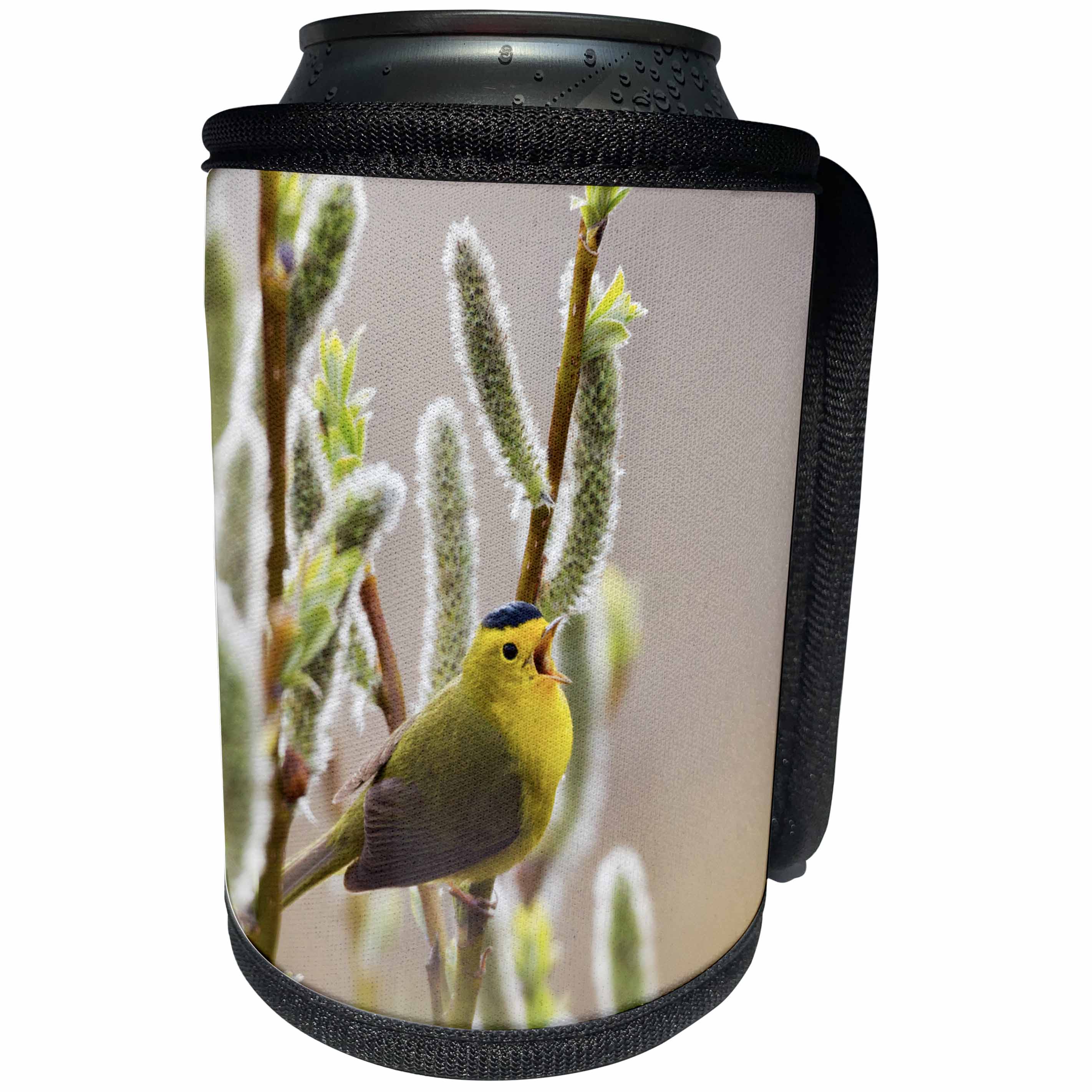 3dRose Danita Delimont - Birds - Wilsons Warbler Singing - Can Cooler Bottle Wrap (cc_229498)