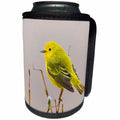 3dRose Danita Delimont - Birds - Yellow Warbler - Can Cooler Bottle Wrap (cc_229499)