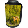 3dRose Danita Delimont - Foxes - At Midway Lake in the Tetlin NWR, Alaska. Inquisitive Red Fox. - Can Cooler Bottle Wrap (cc_229505)