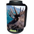 3dRose Danita Delimont - Moose - Up close and personal with a Moose, Alaska Wildlife Center, Alaska - Can Cooler Bottle Wrap (cc_229506)