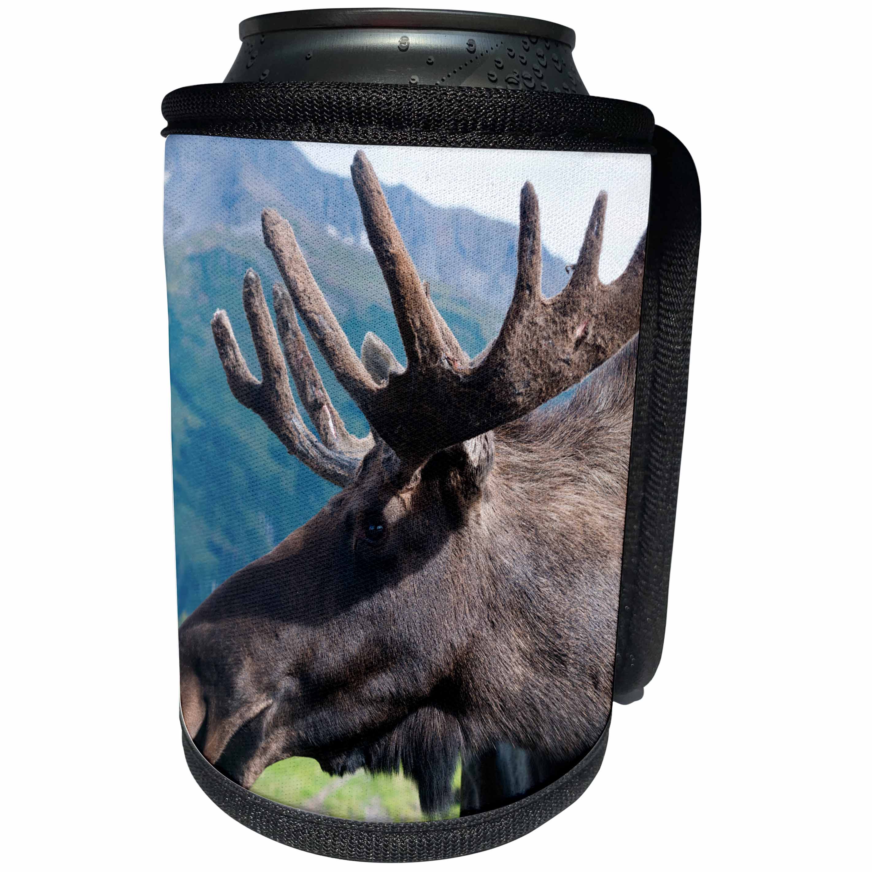 3dRose Danita Delimont - Moose - Up close and personal with a Moose, Alaska Wildlife Center, Alaska - Can Cooler Bottle Wrap (cc_229506)