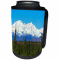 3dRose Danita Delimont - Mountain - Mt. McKinley is an awesome sight on an unusually clear day, Alaska - Can Cooler Bottle Wrap (cc_229508)