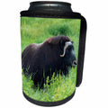 3dRose Danita Delimont - Animal - A lone muskox standing in thick, tall, green grass - Can Cooler Bottle Wrap (cc_229514)