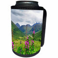 3dRose Danita Delimont - Alaska - Wildflower in Alaskan valley, mountain landscape - Can Cooler Bottle Wrap (cc_229516)