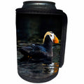 3dRose Danita Delimont - Puffins - A Tufted Puffin swimming in dark waters - Can Cooler Bottle Wrap (cc_229517)