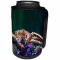 3dRose Danita Delimont - Crab - Front view of a king crab underwater - Can Cooler Bottle Wrap (cc_229518)