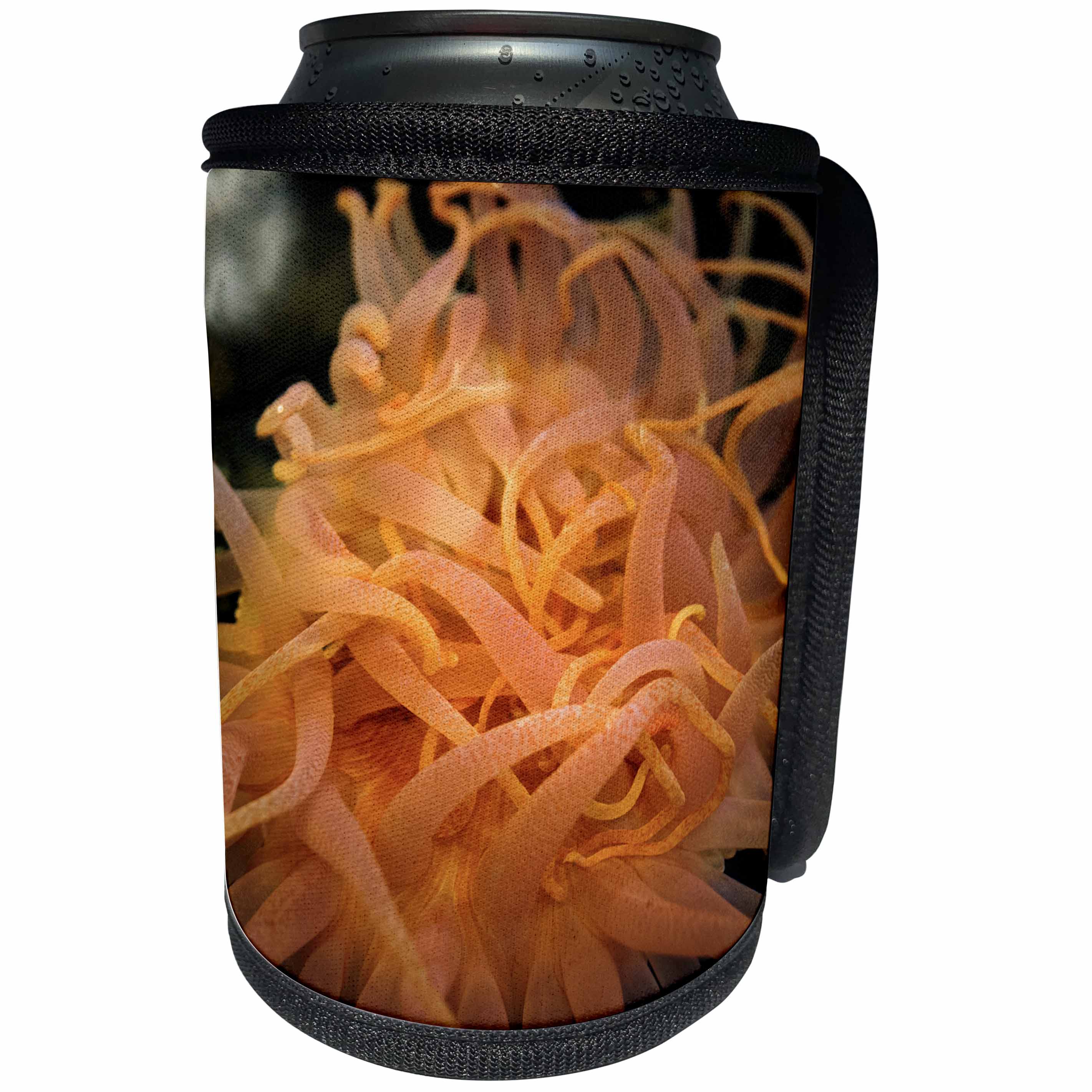 3dRose Danita Delimont - Marine Life - An orange sea anemone waving tentacles in the water - Can Cooler Bottle Wrap (cc_229519)