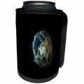 3dRose Danita Delimont - Marine Life - Visible bioluminescence shows this moon jellyfish clearly - Can Cooler Bottle Wrap (cc_229520)