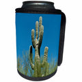 3dRose Danita Delimont - Cactus - Arizona, Organ Pipe Cactus NM, Sonoran Desert, Saguaro Cactus. - Can Cooler Bottle Wrap (cc_229522)
