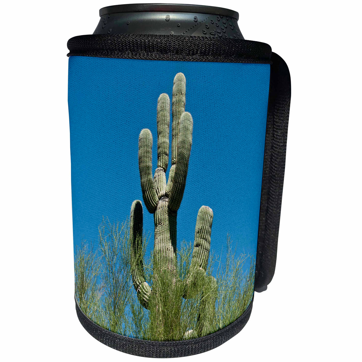 3dRose Danita Delimont - Cactus - Arizona, Organ Pipe Cactus NM, Sonoran Desert, Saguaro Cactus. - Can Cooler Bottle Wrap (cc_229522)