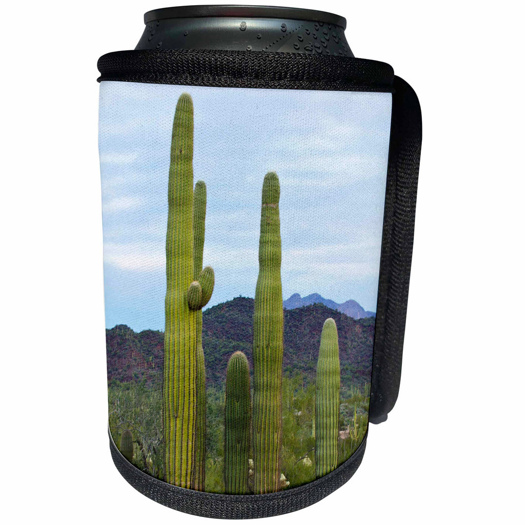 3dRose Danita Delimont - Cactus - USA, Arizona, Organ Pipe Cactus National Monument. Saguaro Cactus - Can Cooler Bottle Wrap (cc_229523)